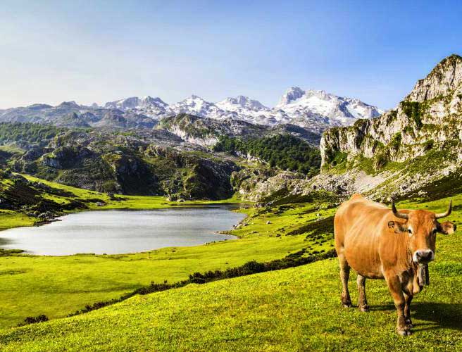 Naturaleza Naturaleza